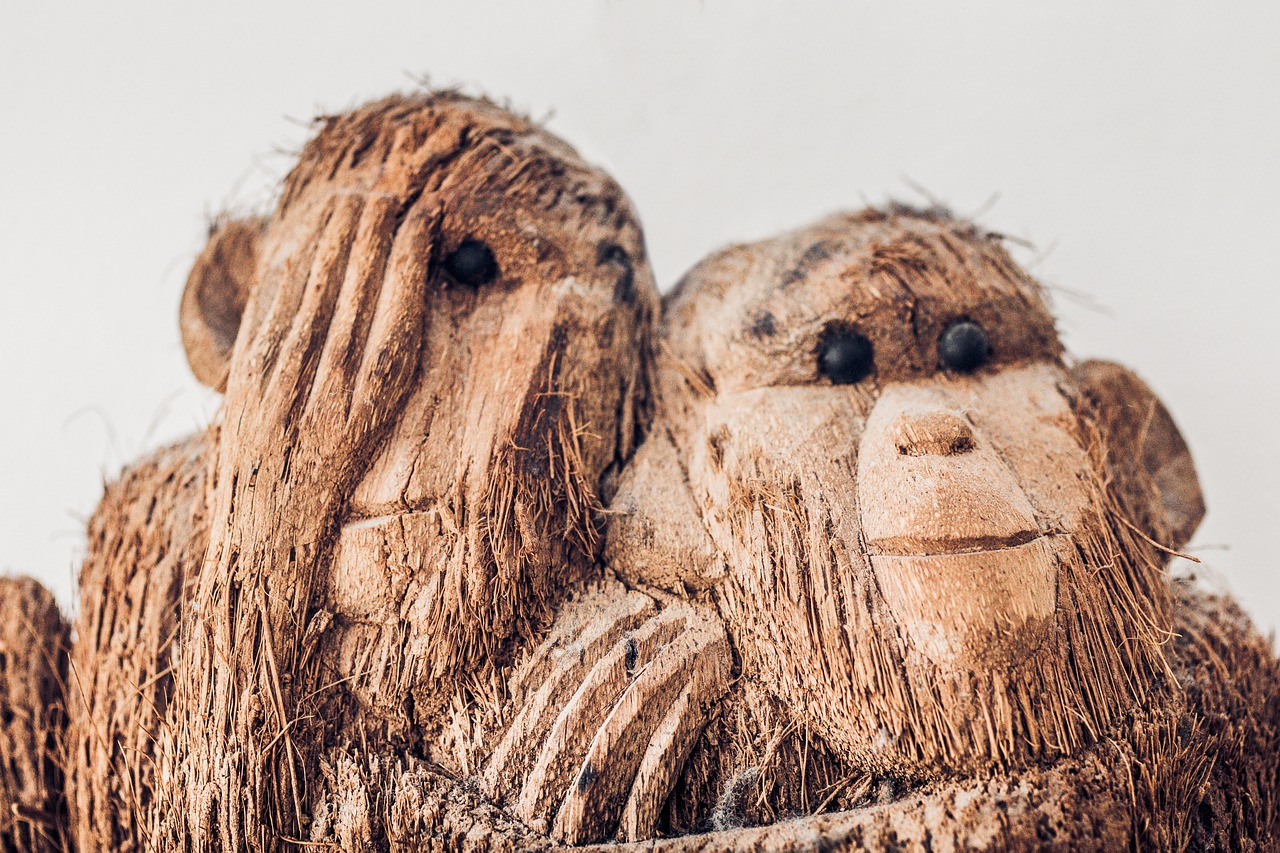 The Link Between Deforestation and Pandemics